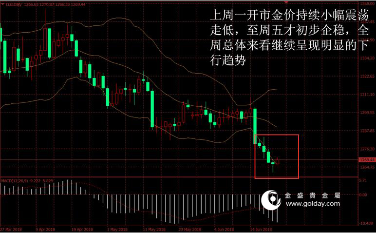 金盛盈富 上周金价走势